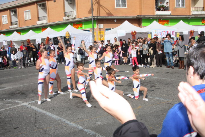 Festa del cioccolato (27).JPG